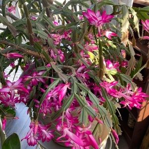 Meet your Posher, Karin